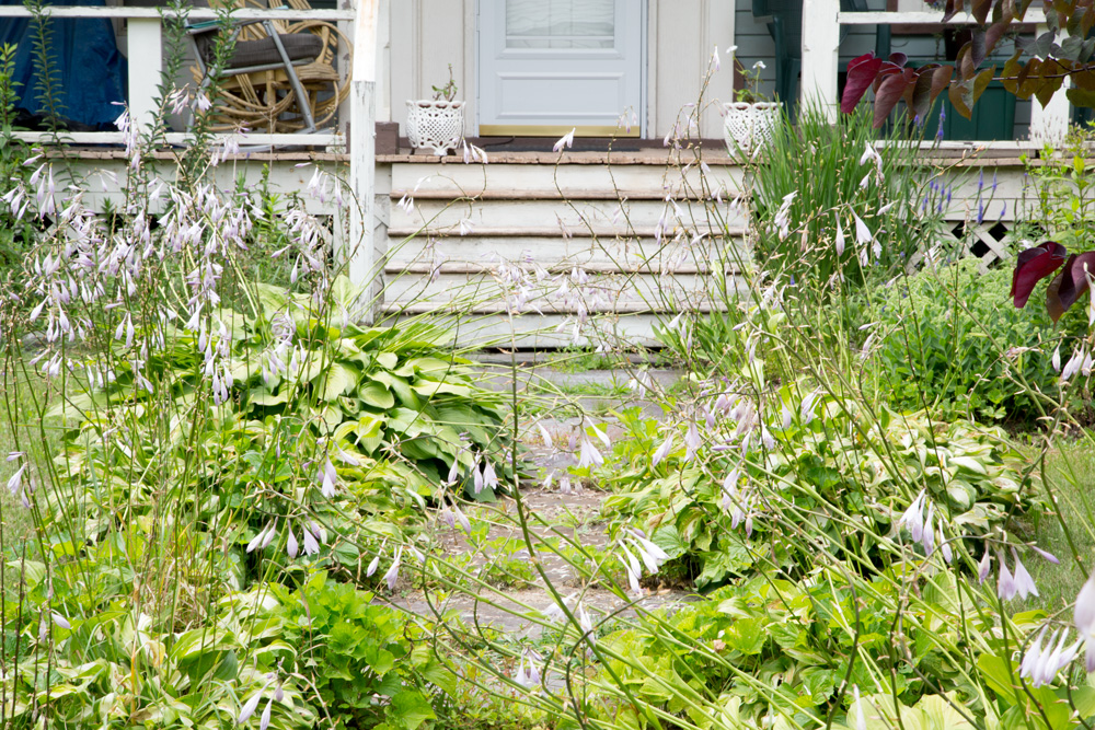 house featured image