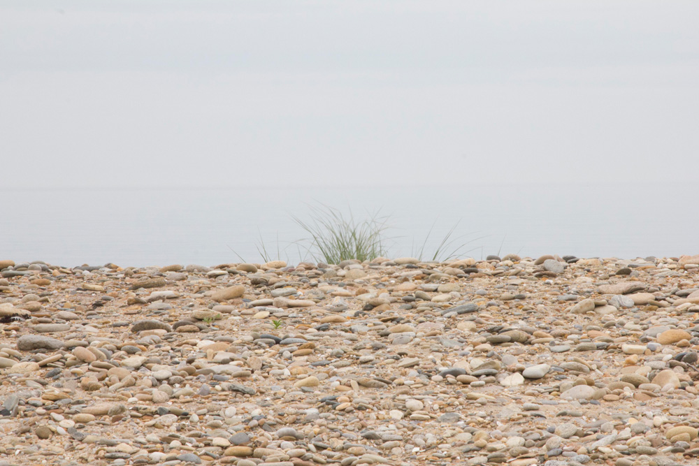 water featured image