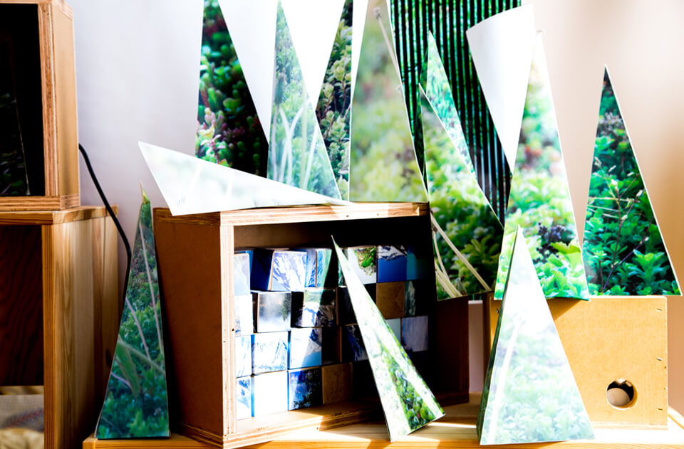 grass featured image