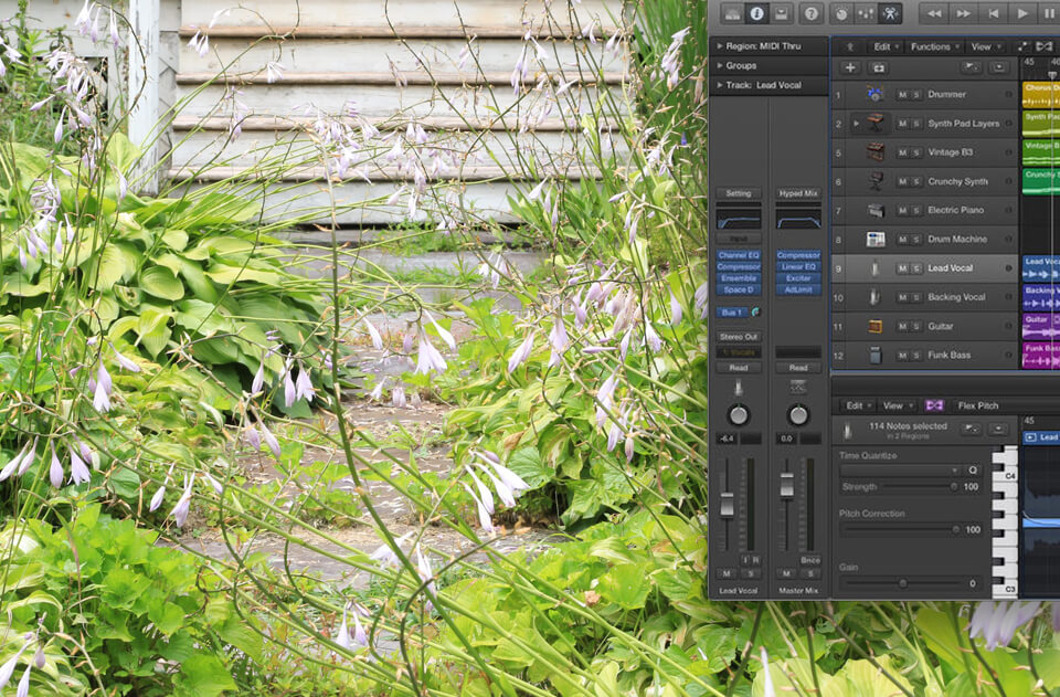 morning music featured image 